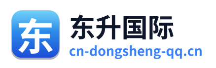 东升国际